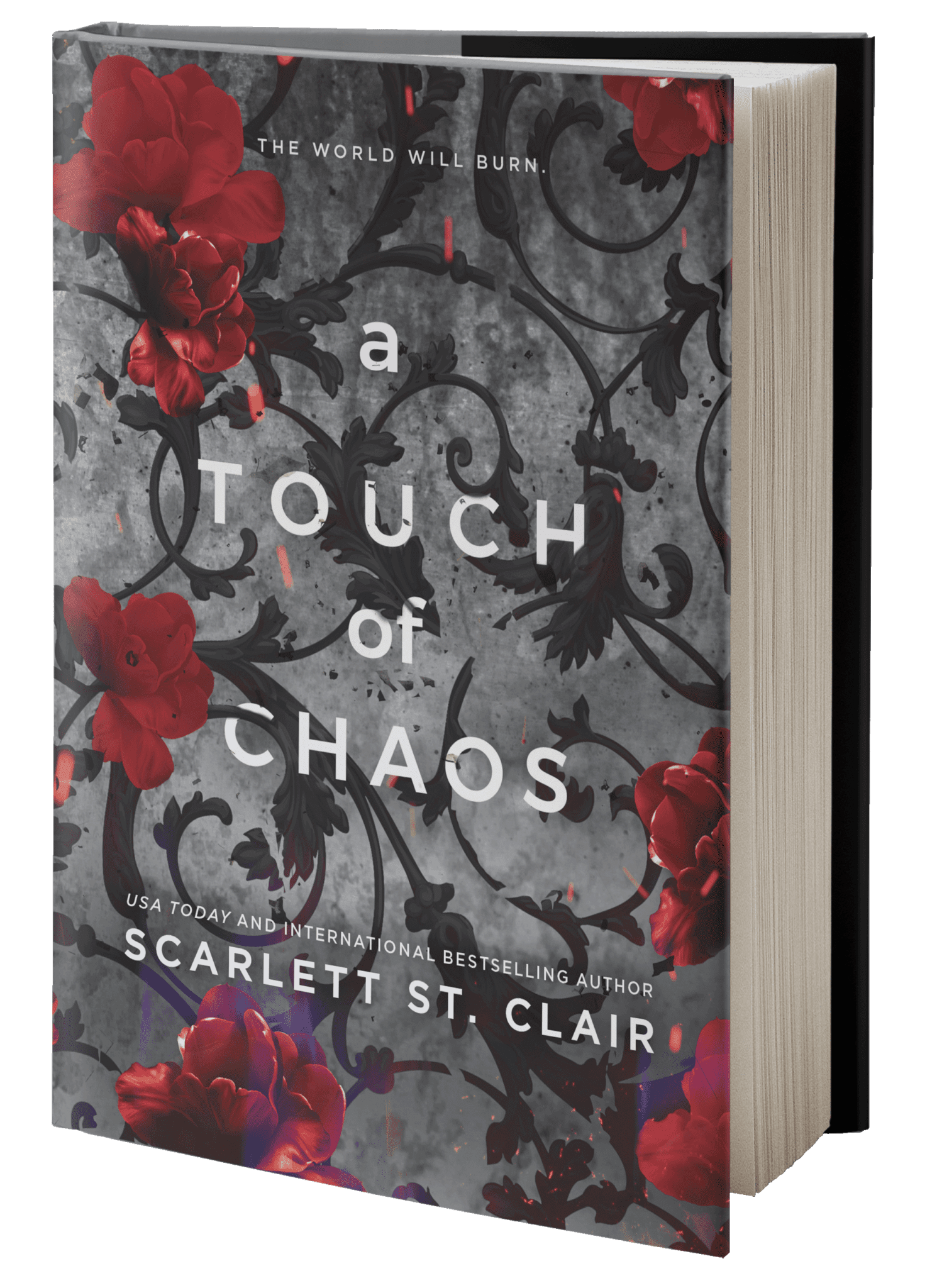 Book cover of "A Touch of Chaos"