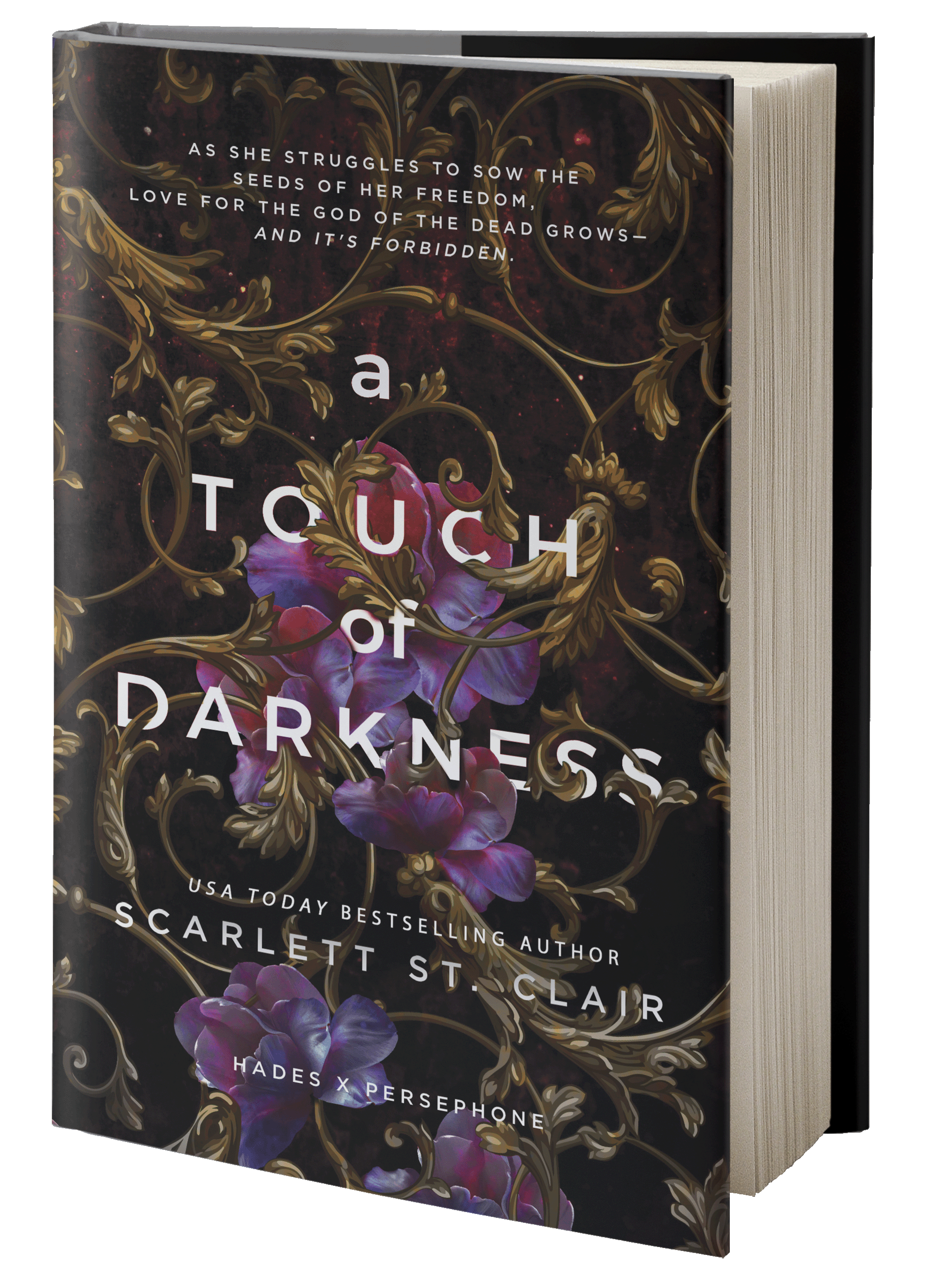 Book cover of "A Touch of Darkness"
